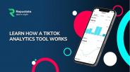 TikTok Analytics Tool