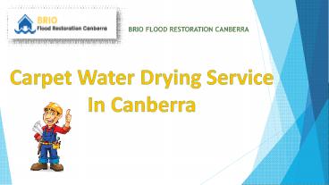 Carpet Water Drying Service In Canberra