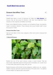 arborist South Bend