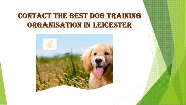Contact the Best Dog Training Organisation in Leicester