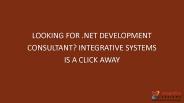 Looking for .Net Development Consultant?