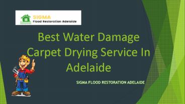 Best Water Damage Carpet Drying Service In Adelaide