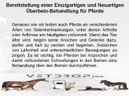 Bereitstellung einer Einzigartigen und Neuartigen Überbein-Behandlung für Pferde