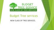 Budget Tree Services Are Available In CA