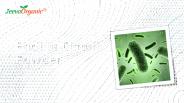 Bacillus Clausii Powder