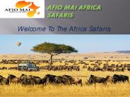 Luxury African Safari Tours