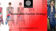 Find the Best Sustainable Fashion Strategy in Canada