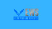 Rat Control - Elite Wildlife Services