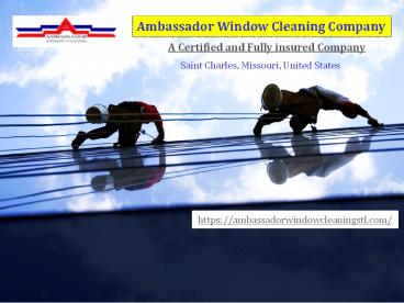 Professional Window Cleaning Services 
