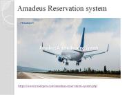 Amadeus Reservation system (3)