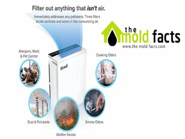 Air Purifiers For Allergies