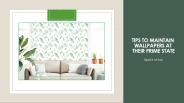 Tips To Maintain Wallpapers At Their Prime State