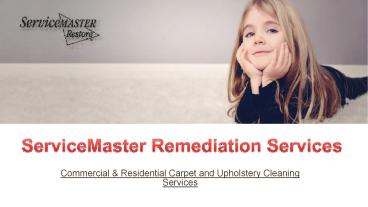 Carpet Cleaning In Pompano Beach | Service Master Remediation