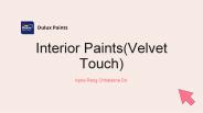 Interior Paint (Velvet Touch)