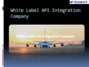 White Label API Integration Company