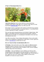 tree care South Bend