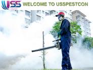 Termite Pest Control Services in Jaipur