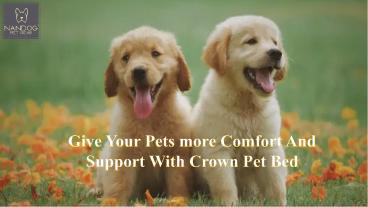 Give Your Pets more Comfort And Support With Crown Pet Bed