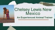 Chelsey Lewis New Mexico - An Experienced Animal Trainer