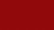 Arya Samaj Marriage in Delhi (1)