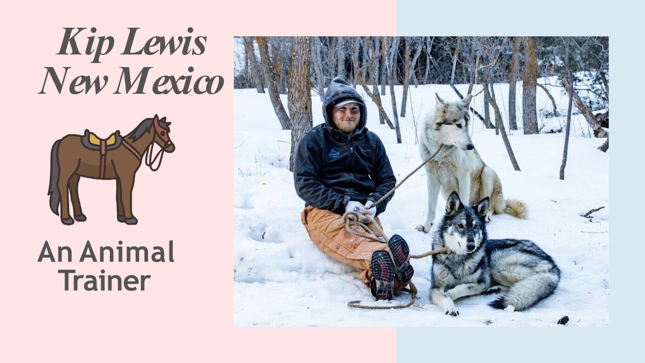 Kip Lewis New Mexico - An Animal Trainer