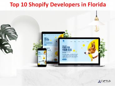 Top 10 Shopify Developers in Florida