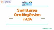 Small Business Consulting Services in USA