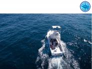 Reef Fishing Charters