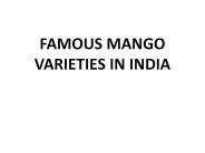 FAMOUS MANGO VARIETIES IN INDIA
