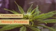 5 Stunning Benefits Of Hemp protein