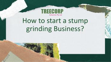 Tree Stump Grinding / Tree Stump Removal in Central Coast