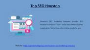 Top SEO Houston