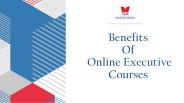 Benefits Of Online Executive Courses -TAPMICEL
