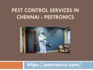 Best Termite control Services in Chennai