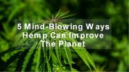 5 Mind-Blowing Ways Hemp Can Improve The Planet