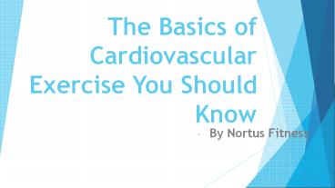 The Basics of Cardiovascular Exercise You Should Know