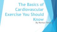 The Basics of Cardiovascular Exercise You Should Know