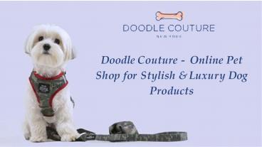 Doodle Couture - Online Pet Shop for Stylish & Luxury Dog Products