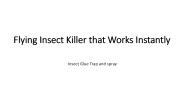 Flying Insect Killer that Works Instantly