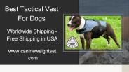 Best Tactical Vest For Dogs