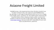 China Professional International Logistics Service Company