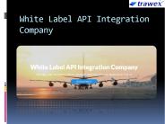 White Label API Integration Company (1)