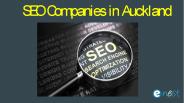 SEO Companies in Auckland