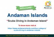 Scuba Diving in Andaman Island