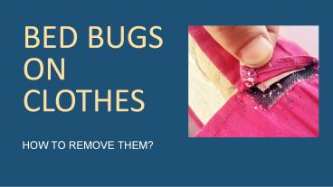 BED BUGS ON CLOTHES – HOW TO REMOVE THEM?