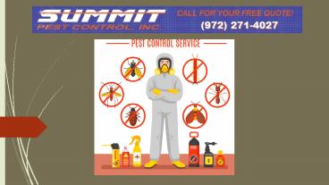 Pest Control Rowlett, TX (1)