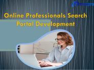 Online Professionals Search Portal Development