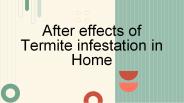 After effects of Termite infestaion in Home