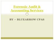 Forensic Accounting & Auditing Services – BlueArrowCPAs