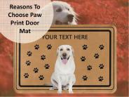 Three Reasons To Choose Paw Print Door Mat